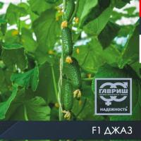 ДЖАЗ F1 огурец Гавриш