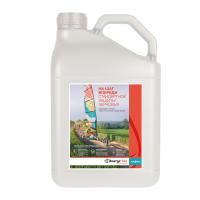 Элатус Эйс, КЭ