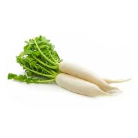 Дайкон, семена Enza Zaden (Энза Заден)