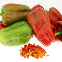 ПОМПЕО F1 перец Нюнемс (500 шт)