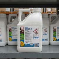 Вендетта, КС