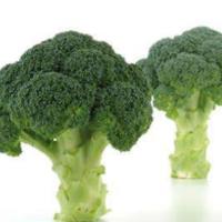 СПИРИДОН F1 брокколи Саката