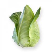 СОНСМА F1 капуста белокочанная Райк Цваан, NS, 2500 шт