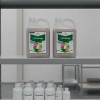 Серенада АСО, КС 10 л