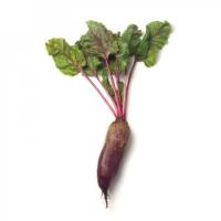 КАРИЛЛОН F1 свекла Райк Цваан, кал.3, 5-4, 25, 50 тыс.шт