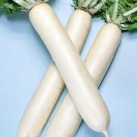 ОКУРО КРОС F1 дайкон Саката