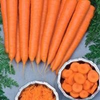 ВОЛКАНО F1 морковь Вильморин