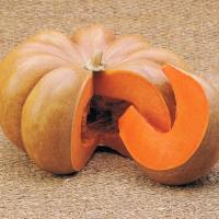 МУСКАТНАЯ ПРОВАНСКАЯ F1 тыква Вильморин