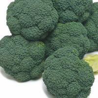 АТЛАНТИС F1 брокколи Энза Заден