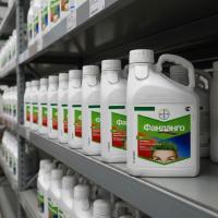 Фанданго, КЭ 5 л