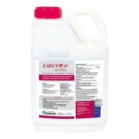 Квестор Форте, КС