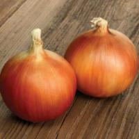 СПЕНИШ МЕДАЛЬОН F1 лук Саката