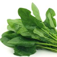 ГРИНГО F1 щавель Гавриш (100 г)