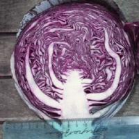 РОКСИ F1 капуста краснокочанная Семинис