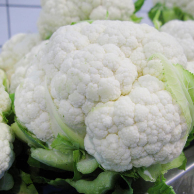 ШАРЛОТ F1 капуста цветная Бейо