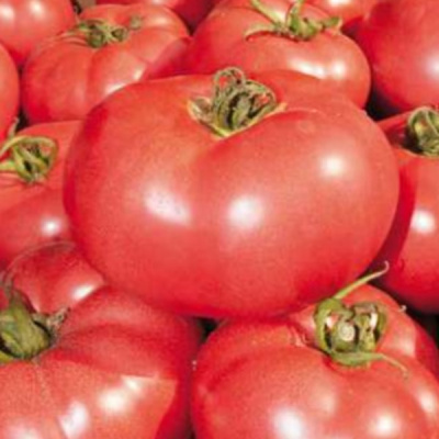 ПИНК ПАРАДАЙЗ F1 томат Саката