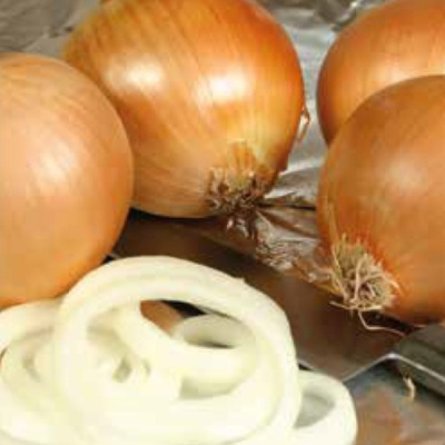 РИНО F1 лук репчатый Хазера