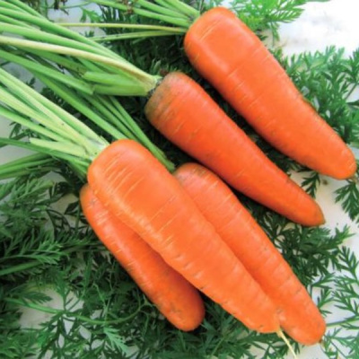 ЭМПЕРОР F1 морковь Вильморин (фр.1, 8-2, 0 мм)