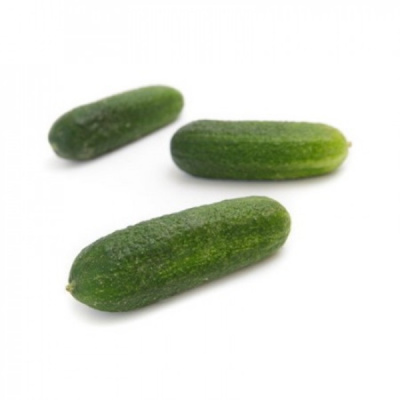 ШОПЕН F1 огурец Райк Цваан, PR, 1000 шт