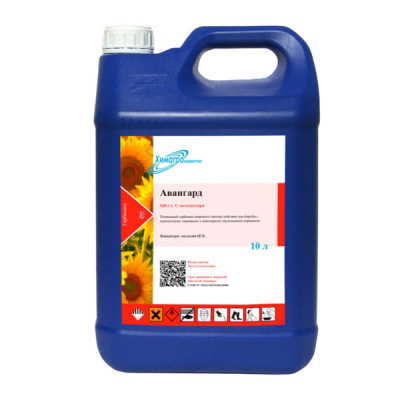 Авангард, КЭ