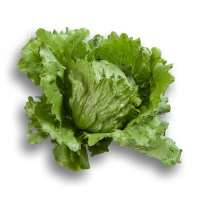 РУБЕТТ F1 салат айсберг Райк Цваан, 1 тыс.драже