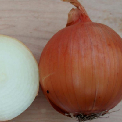 ЗЕВС F1 лук Саката