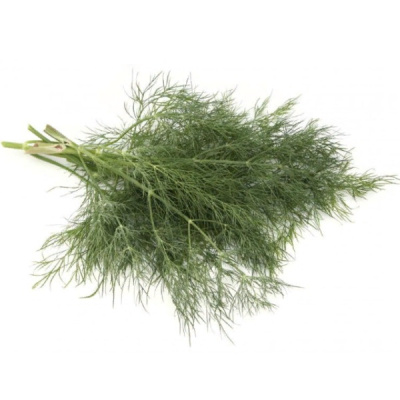 КУТУЗОВСКИЙ F1 укроп Гавриш (1000 г)