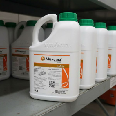 Максим, КС 5 л