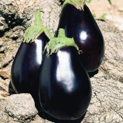 ГАЛИНЭ F1 баклажан Вильморин