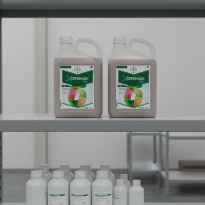 Серенада АСО, КС 10 л