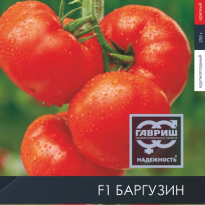 БАРГУЗИН F1 томат Гавриш (3000)