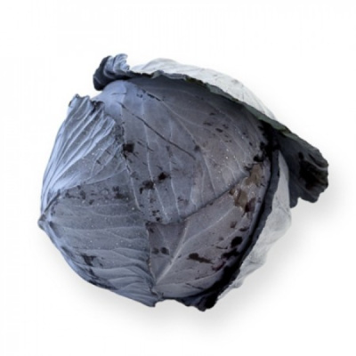 РОДИМА F1 капуста краснокочанная Райк Цваан, NS, 2500 шт