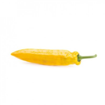 ПАЛЕРМО ЮСМИТ F1 перец Райк Цваан