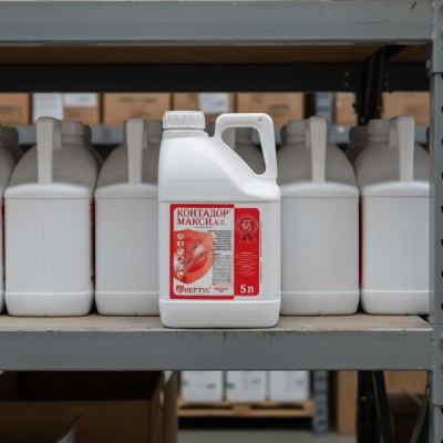 Контадор Макси, КС