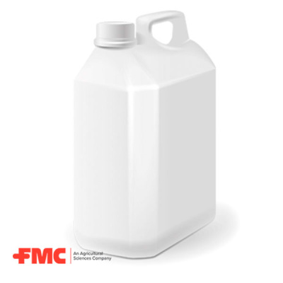 Сальса, ВДГ