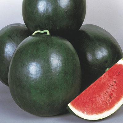 ДУЛЗОР F1 арбуз Энза Заден