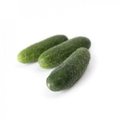 ЧАЙКОВСКИЙ F1 огурец Райк Цваан, PR, 100 шт