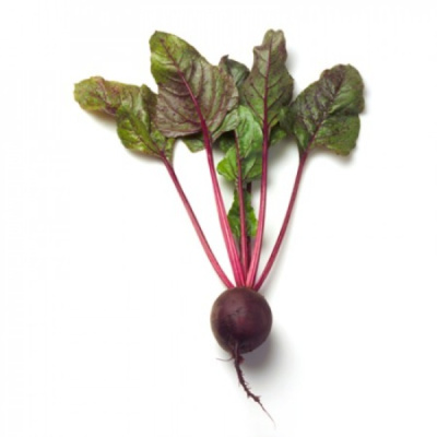 ЛИБЕРО F1 свекла Райк Цваан, кал.2, 75-3, 0, 1 тыс.шт