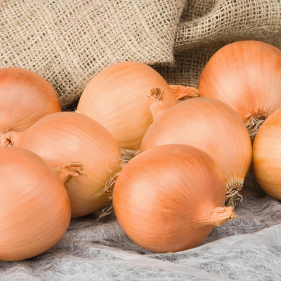 АЛОНСО F1 лук Бейо