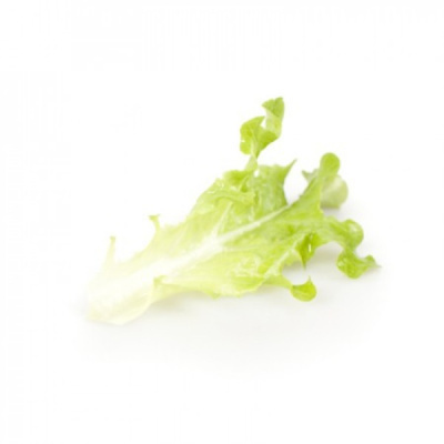 ТРАНВИЯ F1 салат Райк Цваан, NS, 1 млн.шт