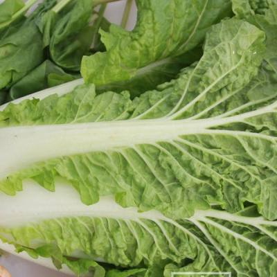 НЕФРИТ F1 салат Гавриш