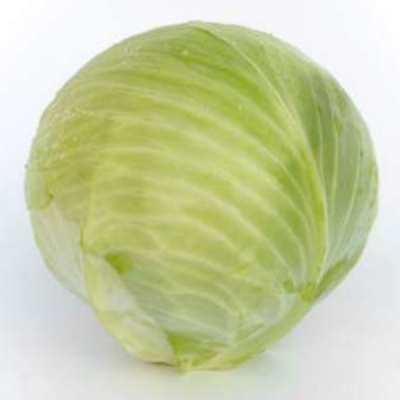 КАЯК F1 капуста белокочанная Саката