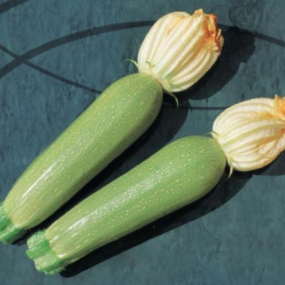 АЛИЯ F1 кабачок Вильморин