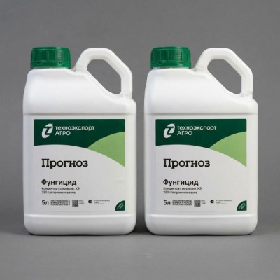 Прогноз, КЭ 5 л