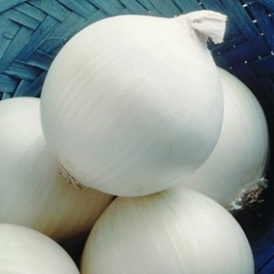 СТЕРЛИНГ F1 лук Семинис