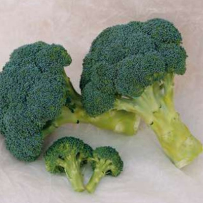 ХРОНОС F1 брокколи Саката