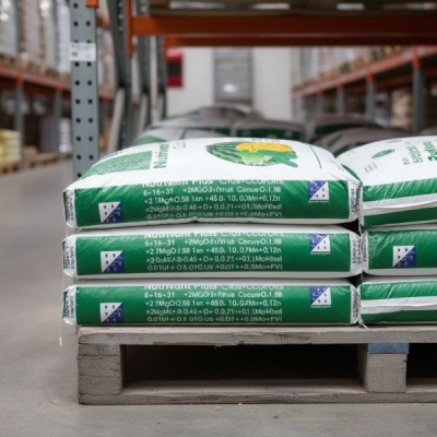 Нутривант Плюс Бахчевый 6-16-31, 25 кг