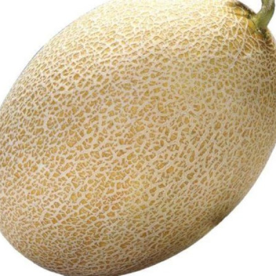 АМАЛ F1 дыня Вильморин