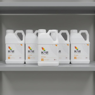 Икар Калисто, 5 л