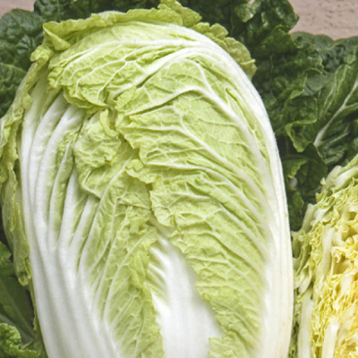 КЬЮСТАР F1 капуста пекинская Энза Заден